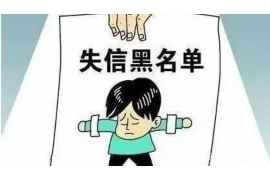 泰顺要账公司更多成功案例详情